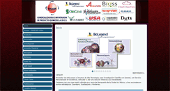 Desktop Screenshot of cipquim.com